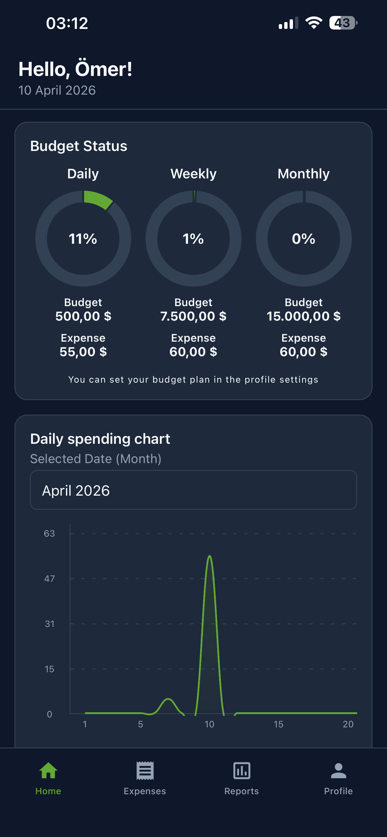 Expenseen home dashboard with budgets and spending chart